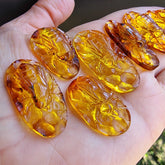 Cognac Amber Carved Bee On Honeycomb Cognac Cabochon